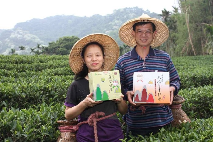 參考資源網站圖示